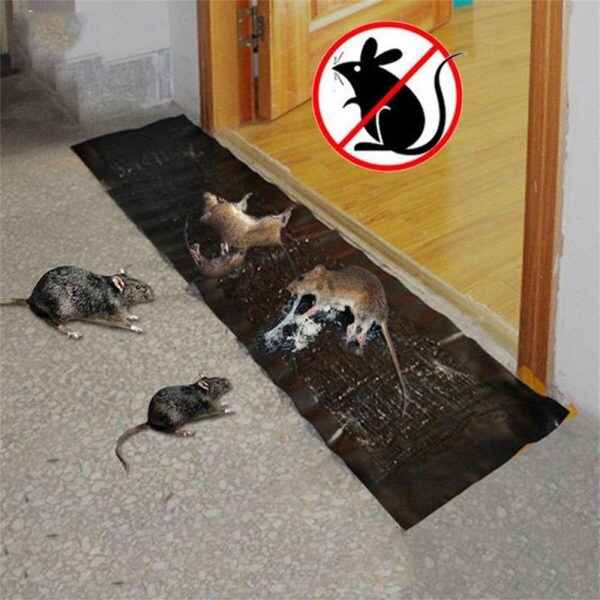 Mouse & Rat Glue Trap Sheet – Fast & Easy Catch