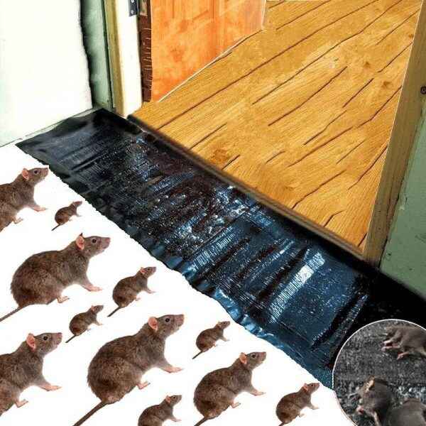 Mouse & Rat Glue Trap Sheet – Fast & Easy Catch