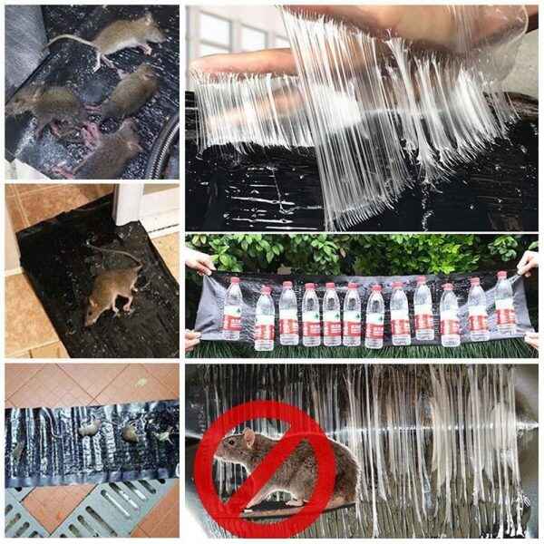 Mouse & Rat Glue Trap Sheet – Fast & Easy Catch