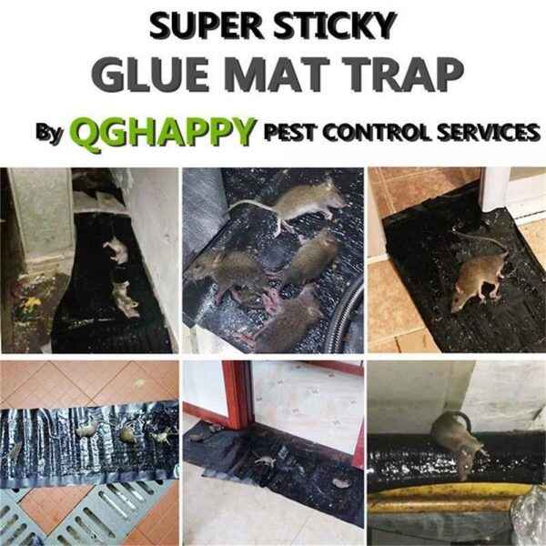 Mouse & Rat Glue Trap Sheet – Fast & Easy Catch